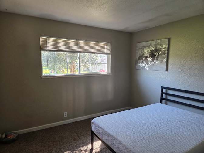 Robert's room