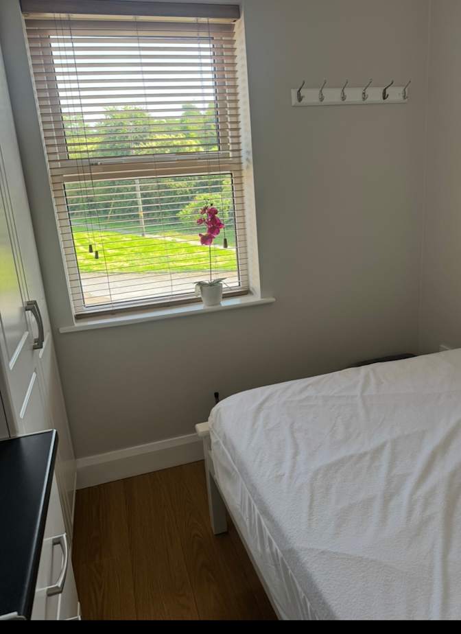 TC's room
