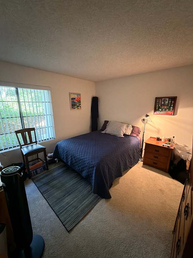 Evan Johnson's room