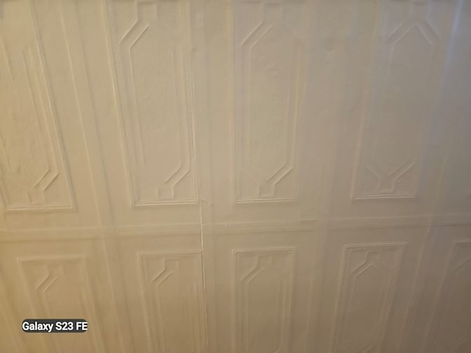 Michele Bechara's room