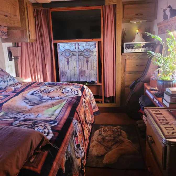 Daniel's room