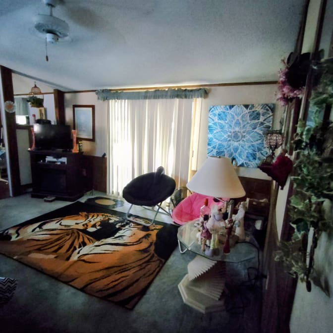 Mark's room