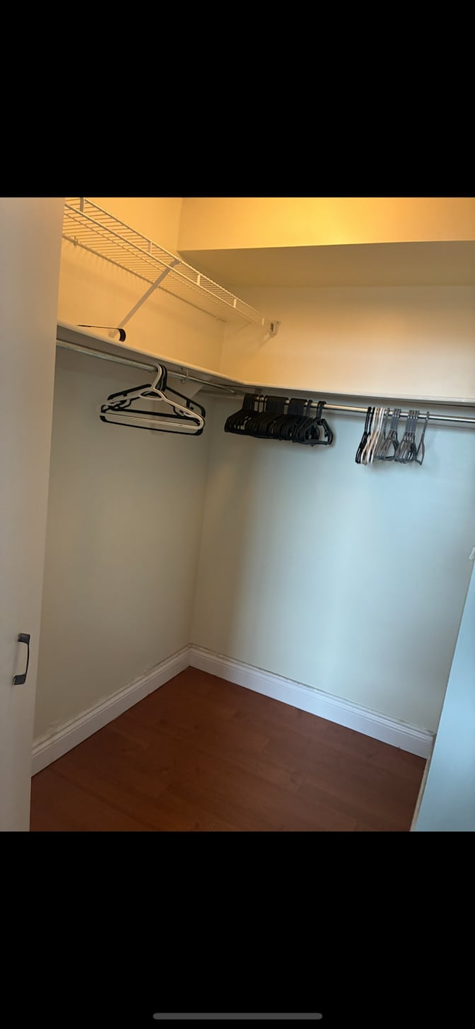 Maggie's room