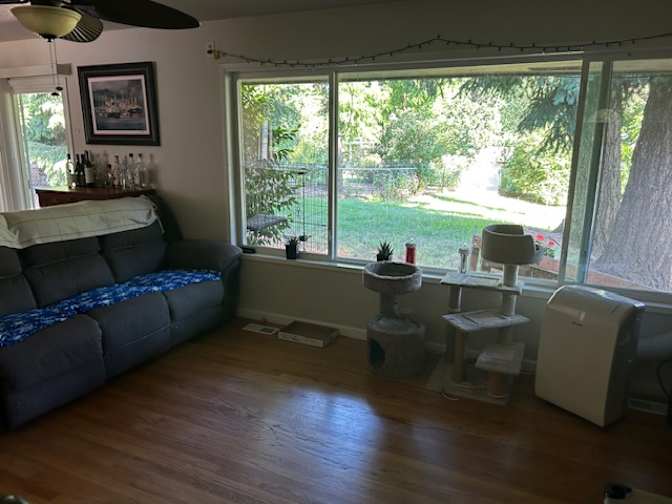 Megan's room