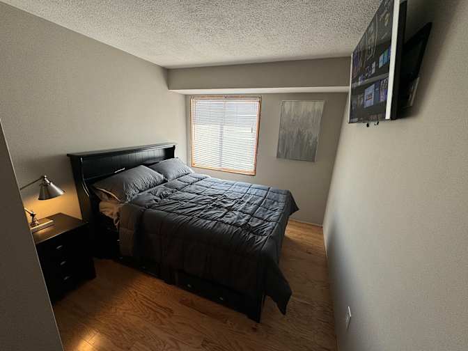 Shane's room