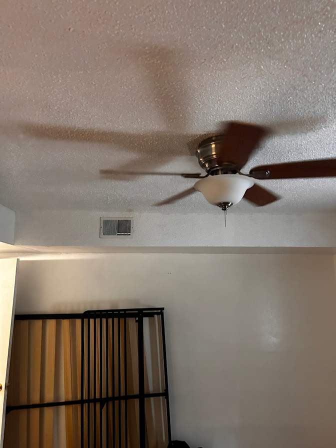 Lamor's room