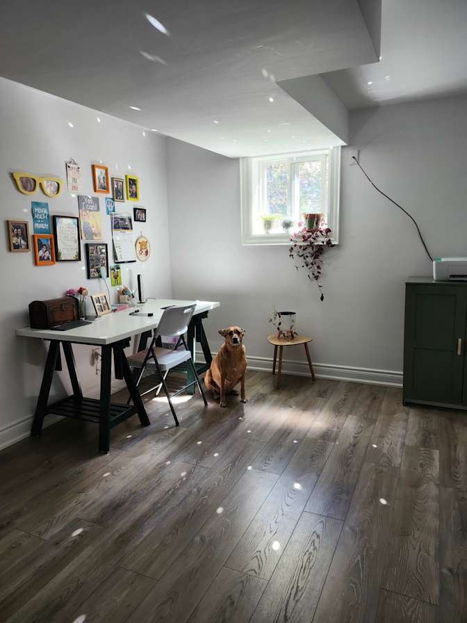 Lia's room