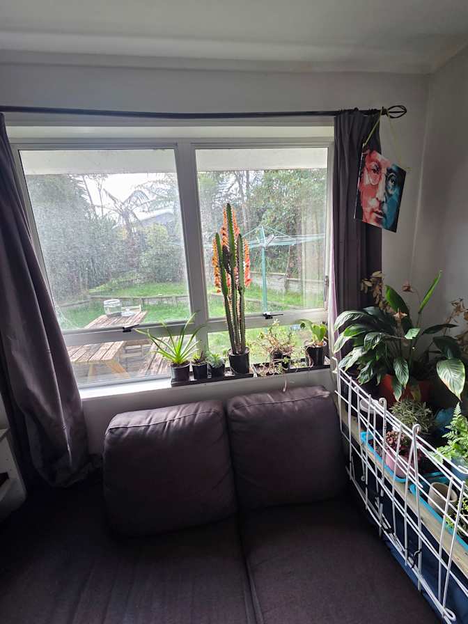 Liam's room