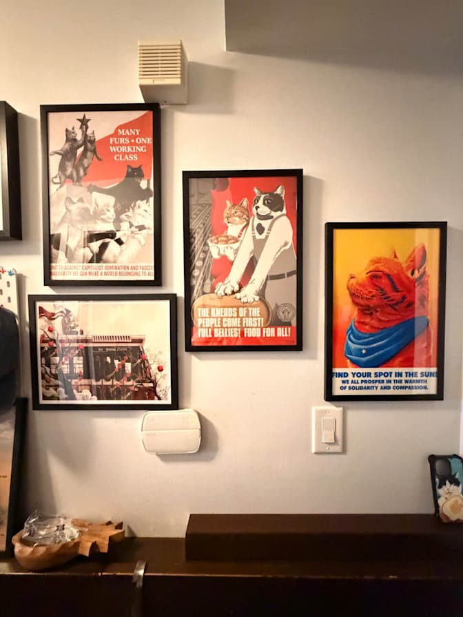 Tony kim's room