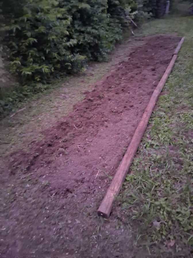 Randy's room