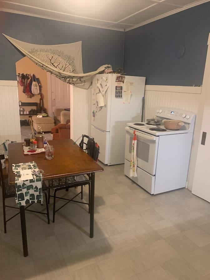 Cat's room