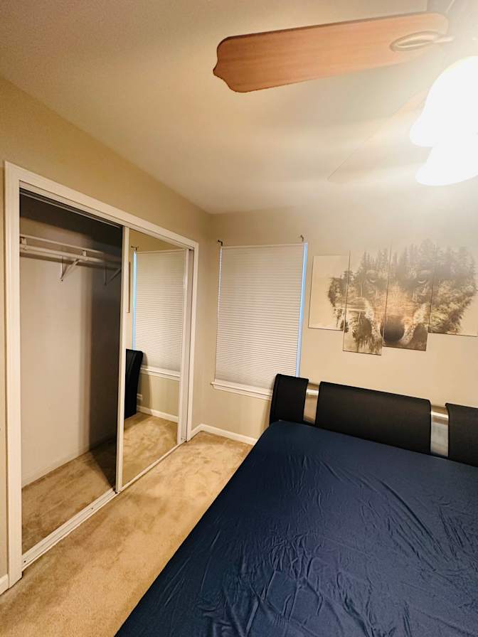 Farzad's room