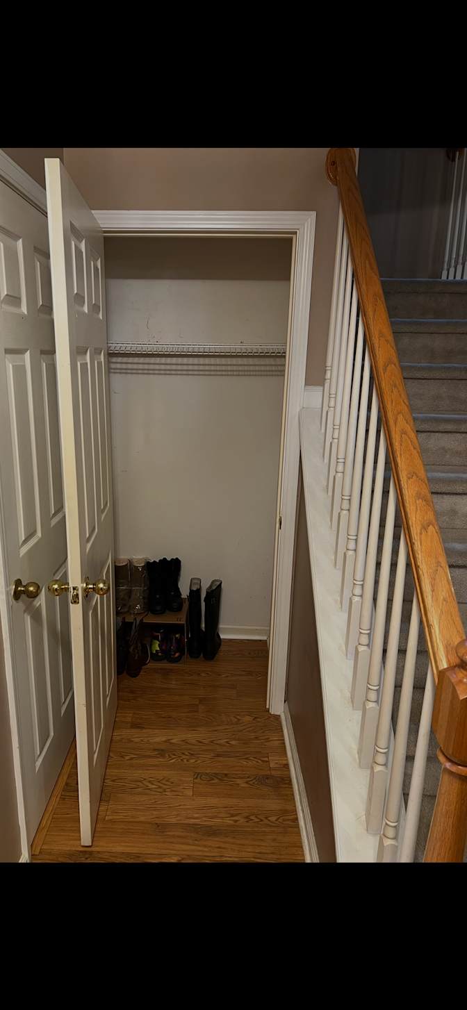 Cat mom's room