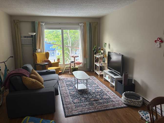 Abigail Grenke's room
