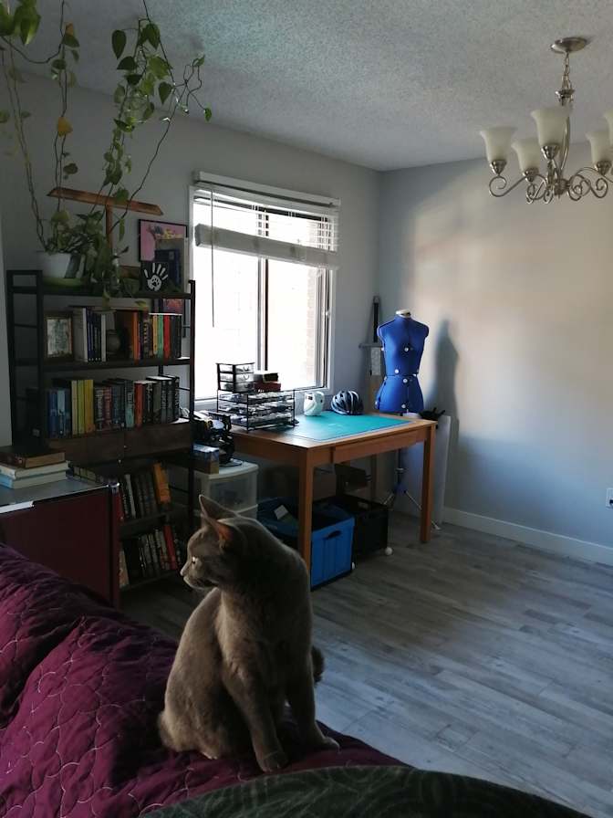 Jasmine's room