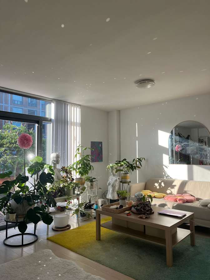 Ana's room