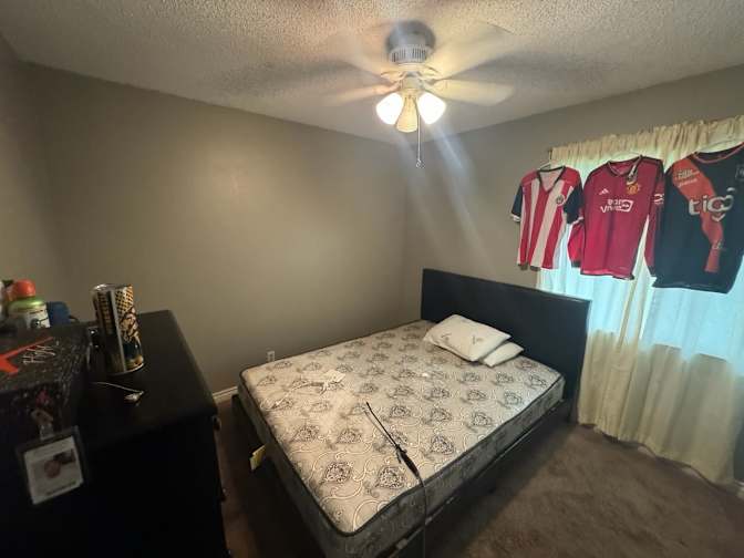 Daniel's room