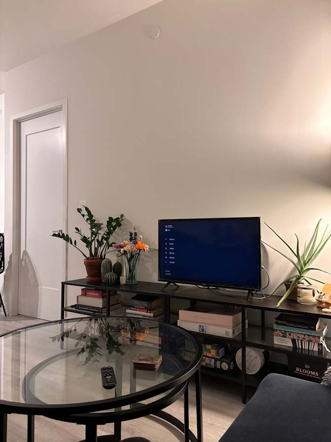 Snigdha Chaturvedi's room