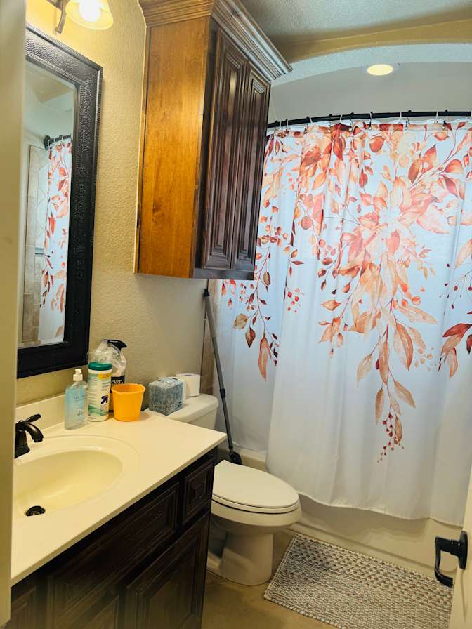 Vidya's room