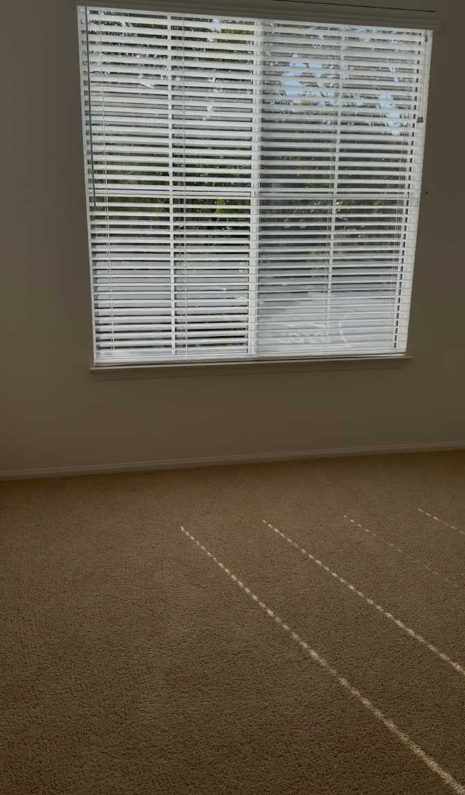 Eta Ferizi's room