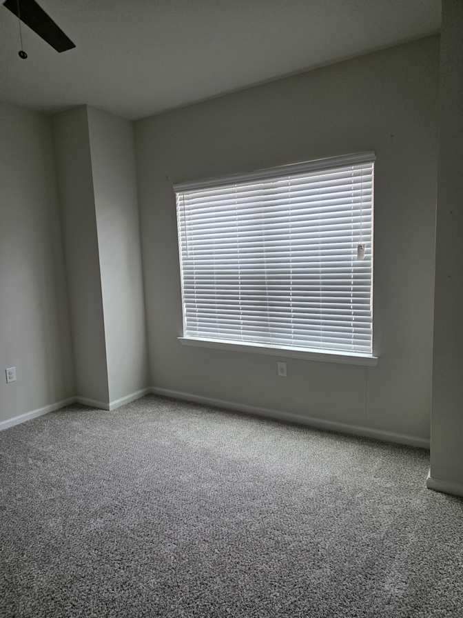 Tania's room