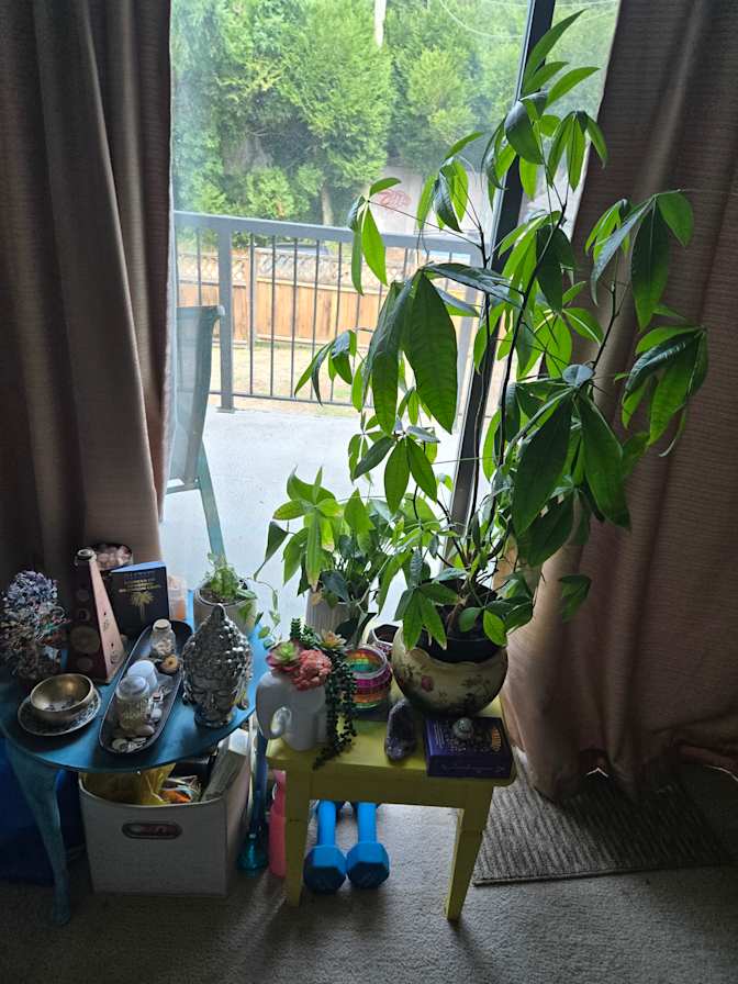 Suzanne Knight's room