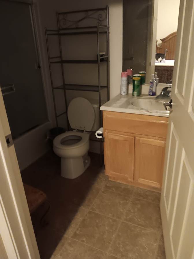 Mary's room