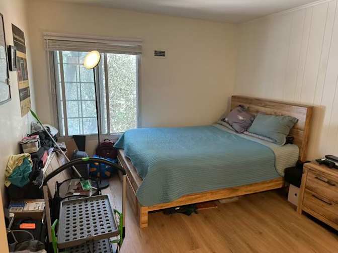 Hamoun's room