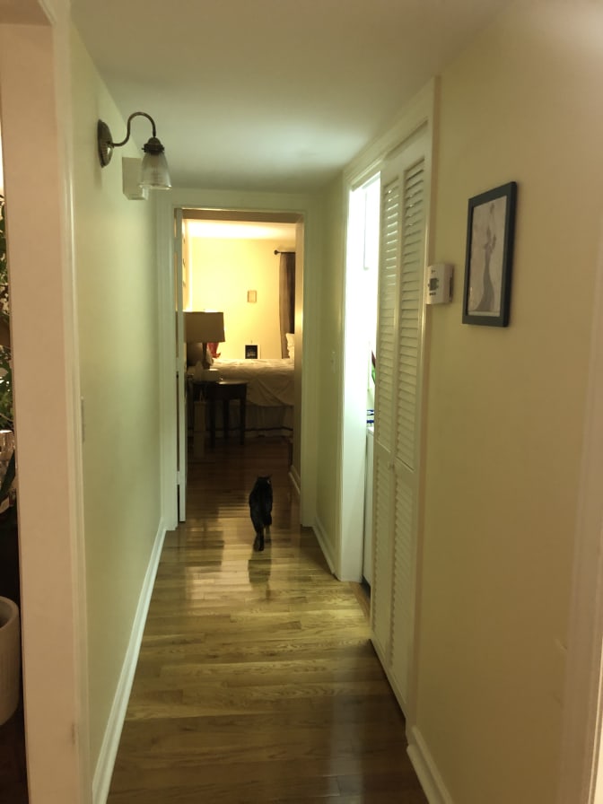 Elizabeth's room