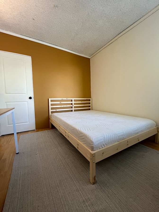 Thiago  Flores's room