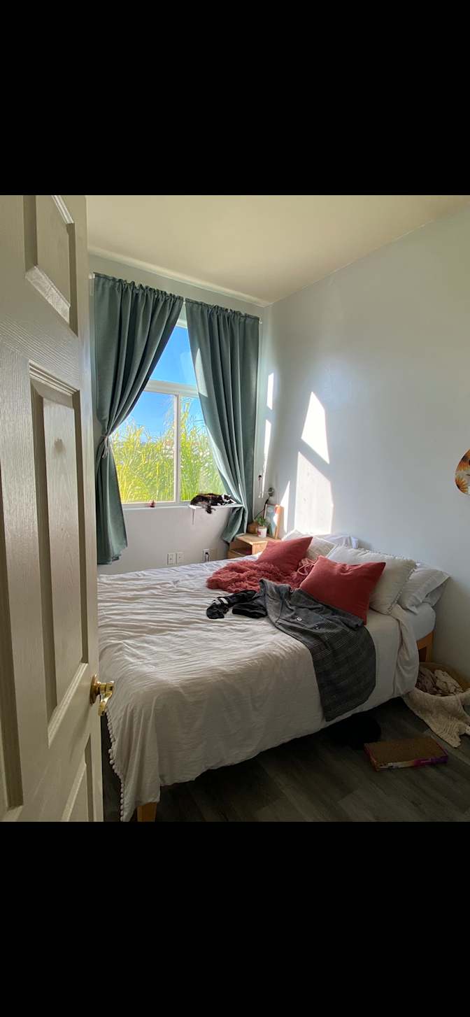 Courtney's room