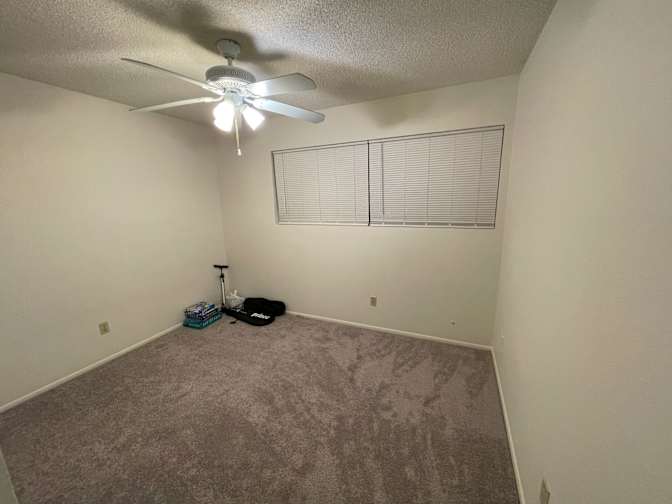 Taylor's room