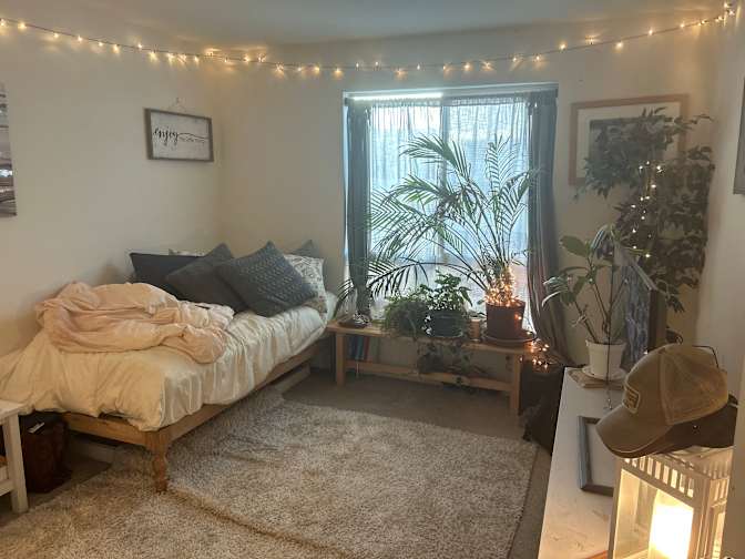 Fernando's room