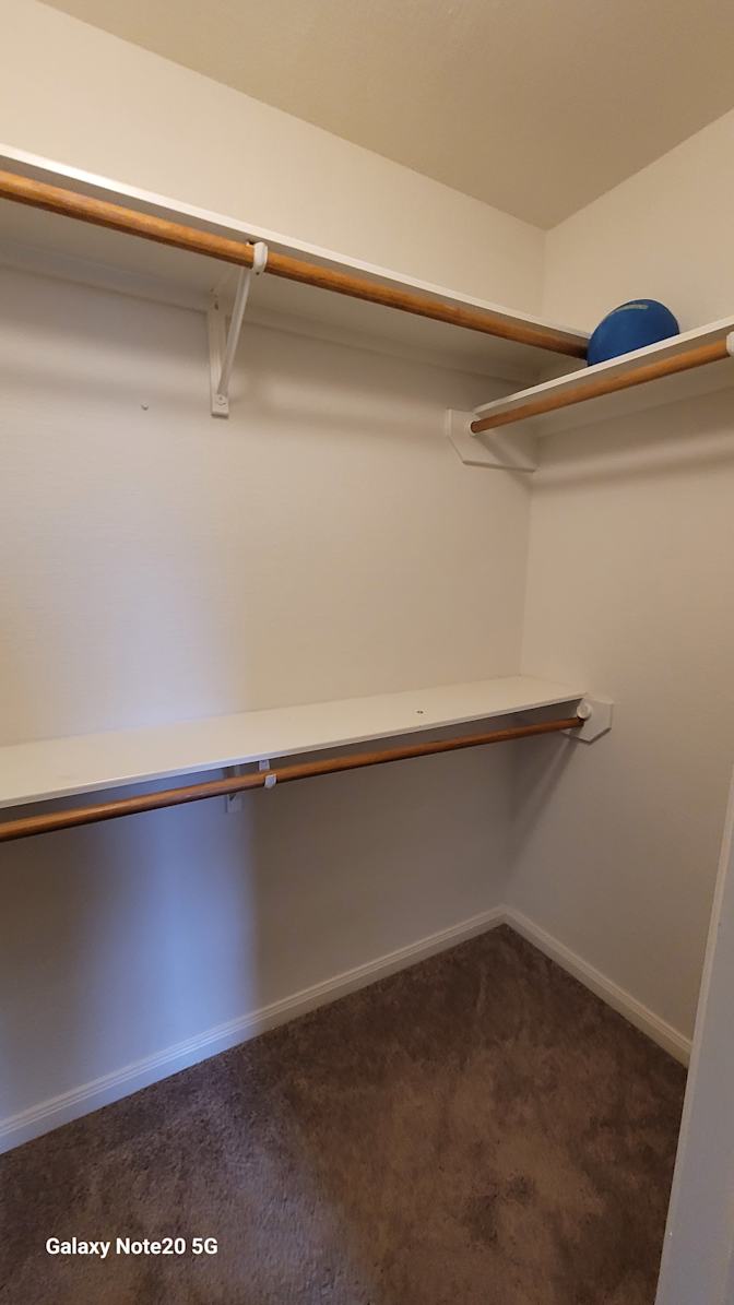 Trent's room