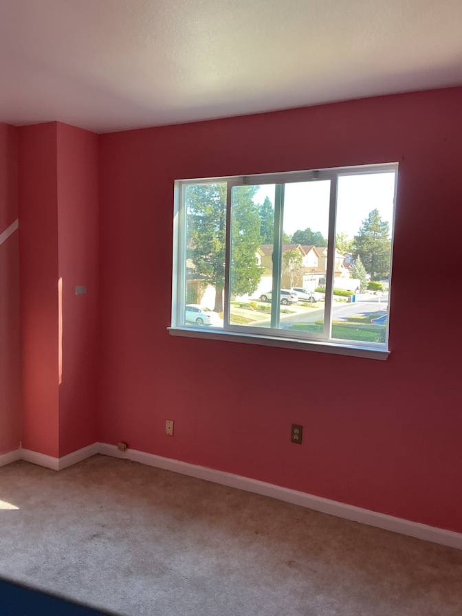 Lulu miller's room