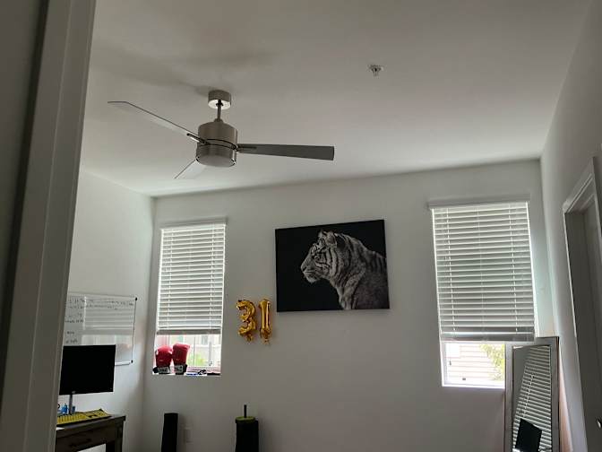 Diego's room