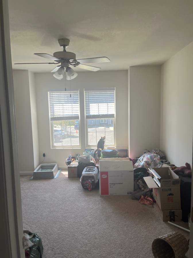 jacob's room
