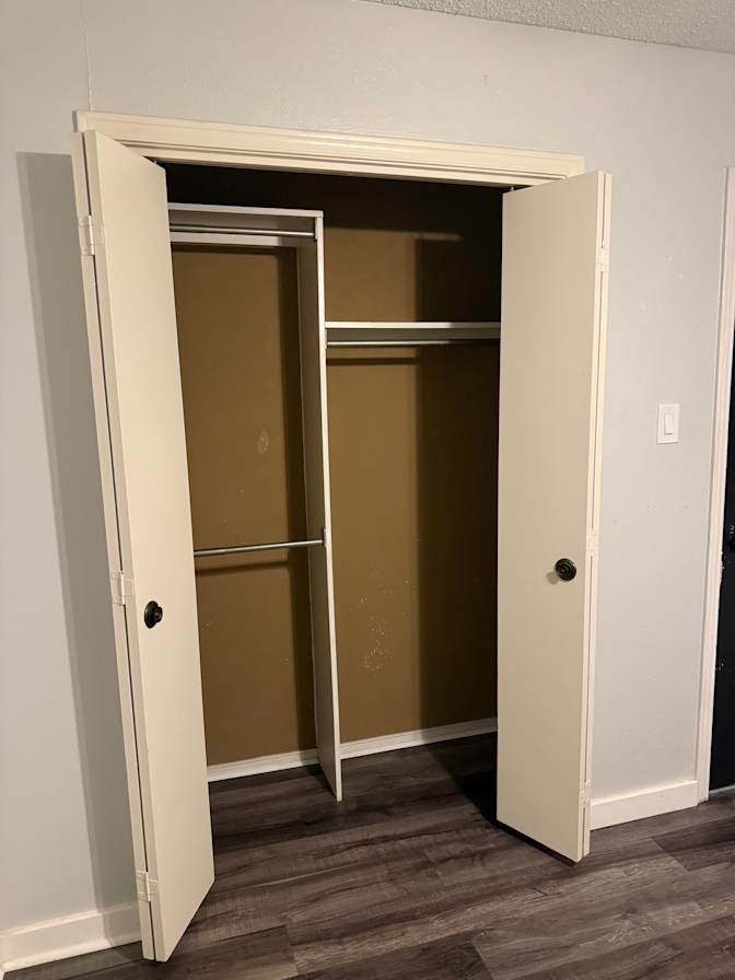 Cat's room