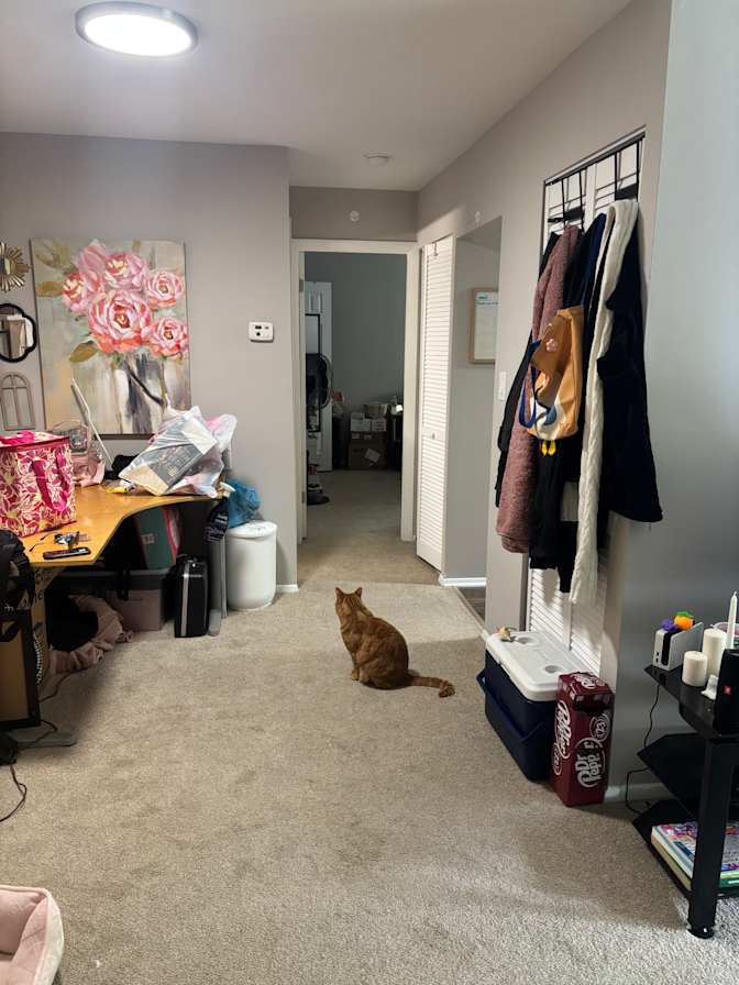 Jasmine's room