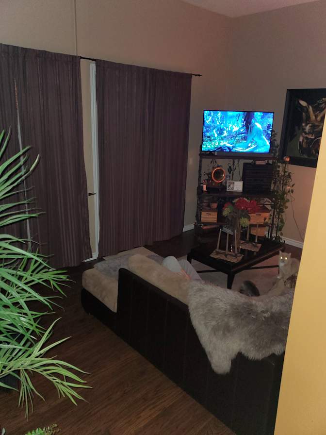 Paul or Xander's room