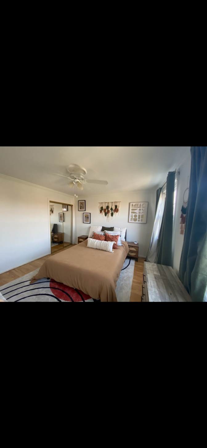 Haelly's room