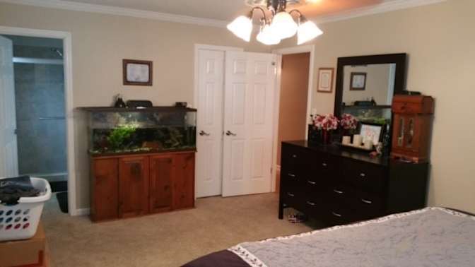 Michael's room