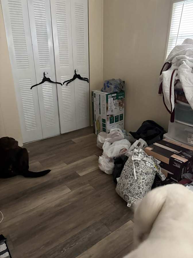 Nicole's room