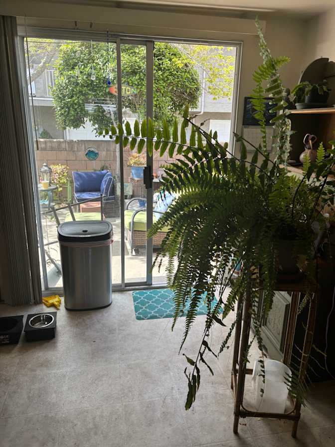 Carol's room