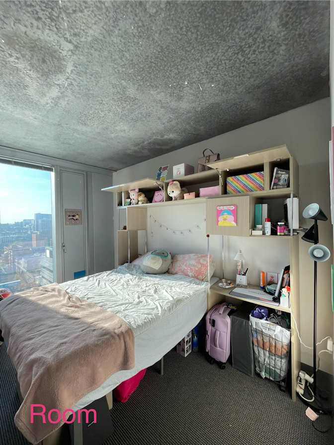 ani's room