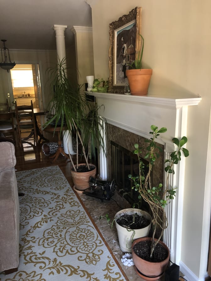 Elizabeth's room