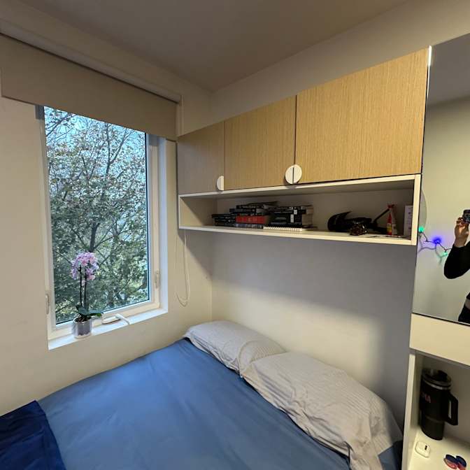 Halle's room