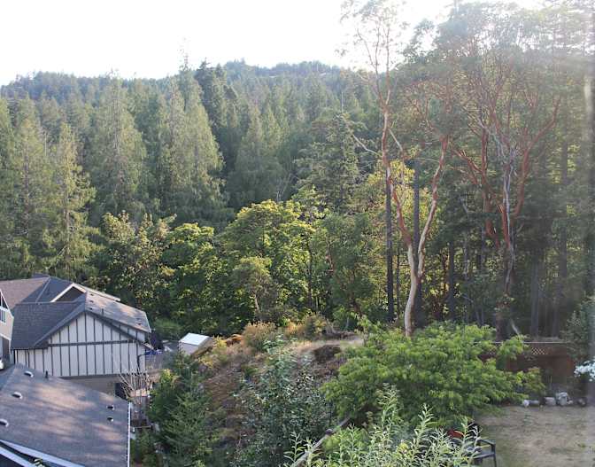 Vancouver Island Quality's room