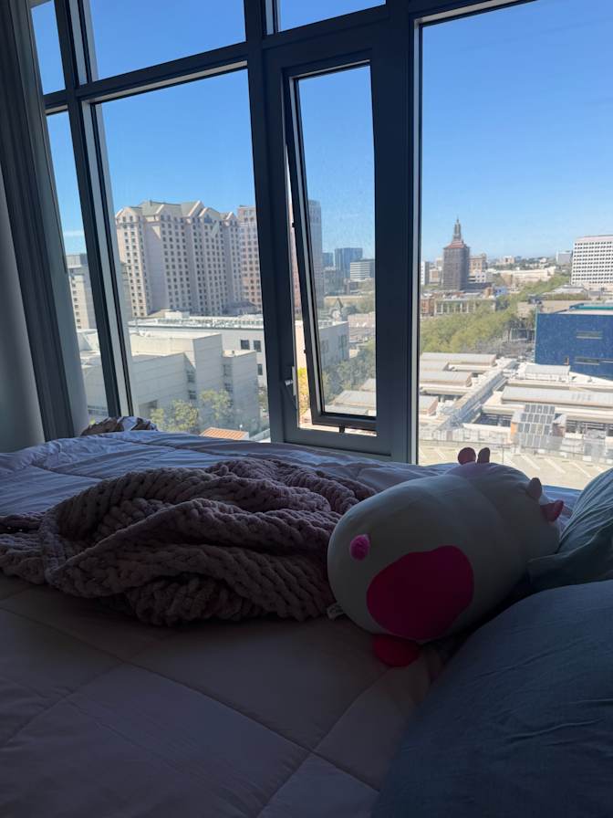 Rylei's room
