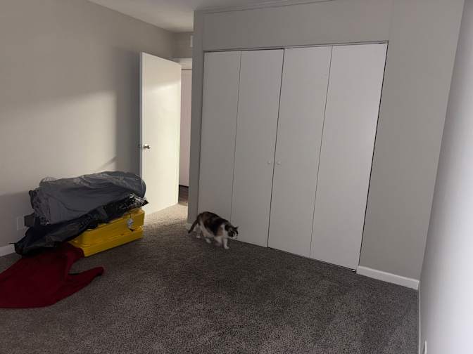 skye's room